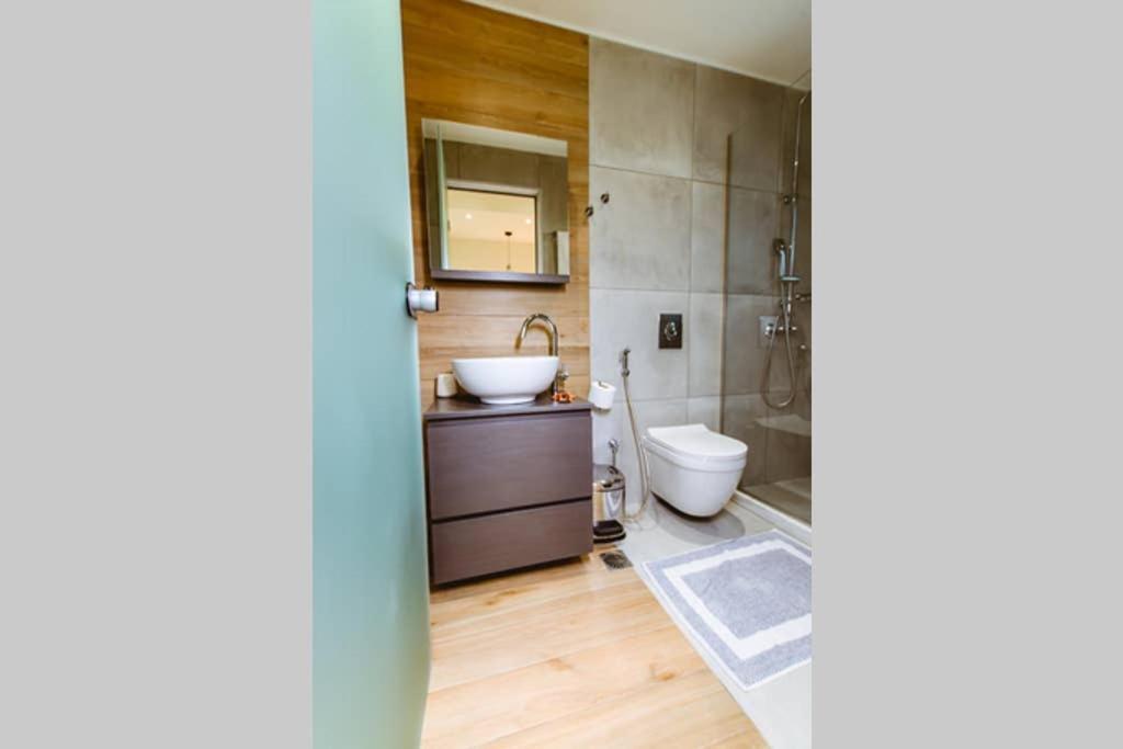 Iliovasilema Apartments エラフォニシ エクステリア 写真